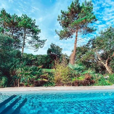 Вилла Casa Olea - Surf House - Piscine Chauffee - 4 - Golf